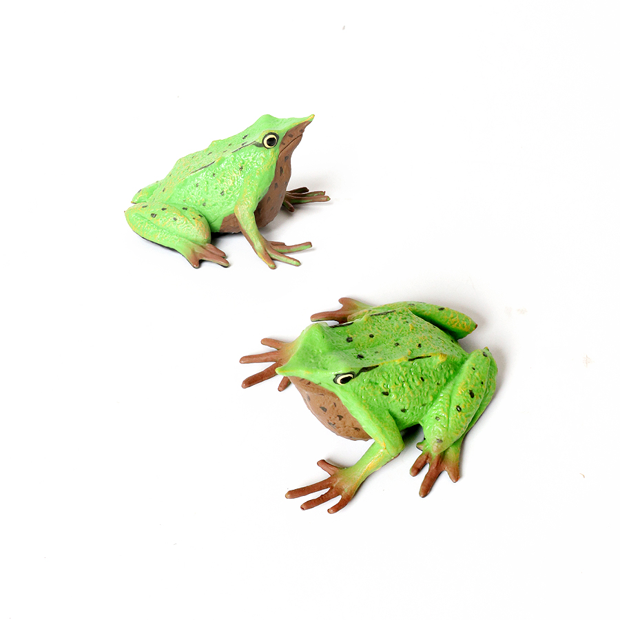 Regenwald Tiere Frösche Figure – Kids Toys Review Bewertung und Preis