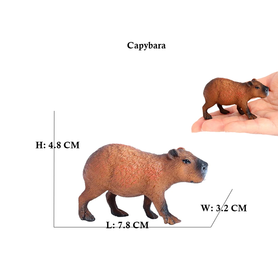 Capibara Capybaras Eichhörnche – Kids Toys Review Bewertung und Preis