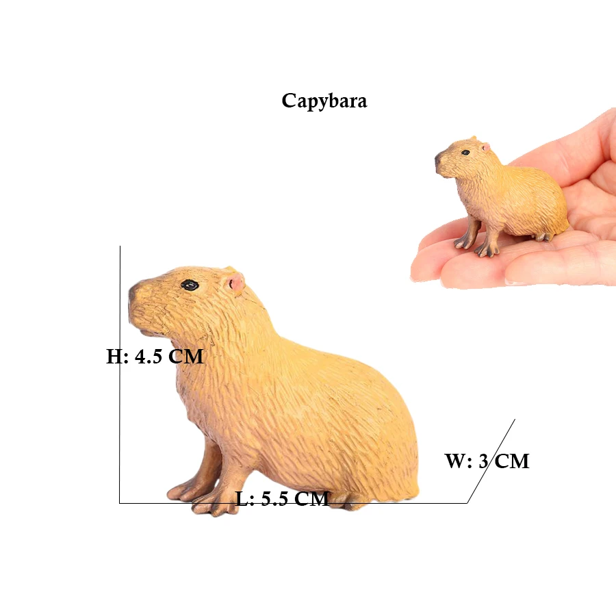 Capibara Capybaras Eichhörnche – Kids Toys Review Bewertung und Preis