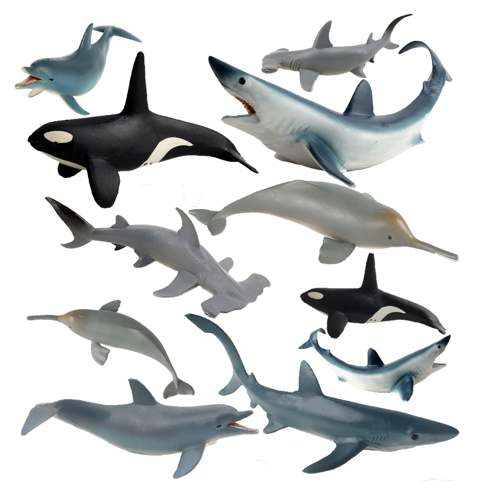 Gefährdete Meerestiere Figuren – Kids Toys Review Bewertung und Preis