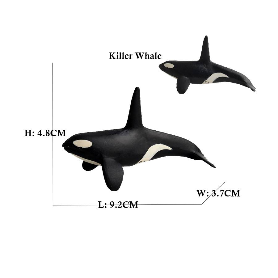 Gefährdete Meerestiere Figuren – Kids Toys Review Bewertung und Preis