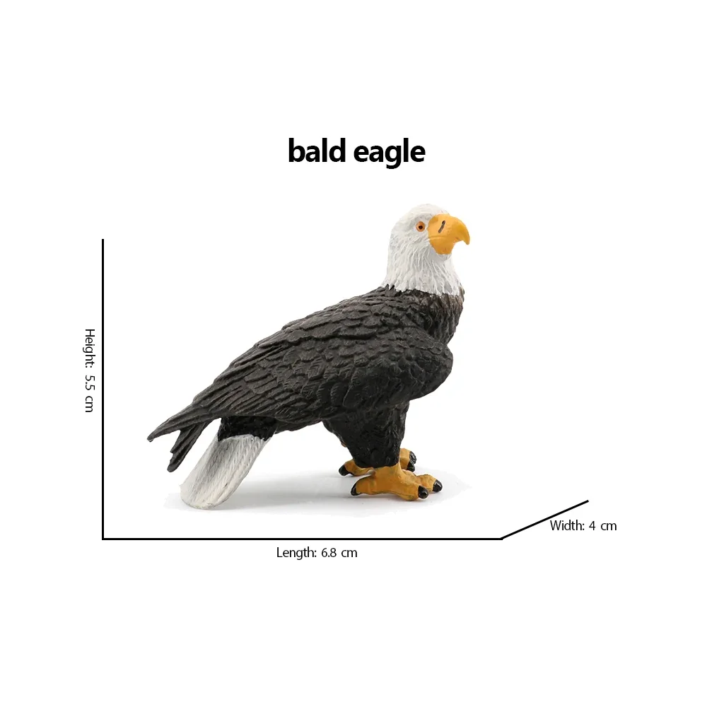 Weißkopfseeadler Pelikan Tukan – Kids Toys Under 200 Bewertung und Preis