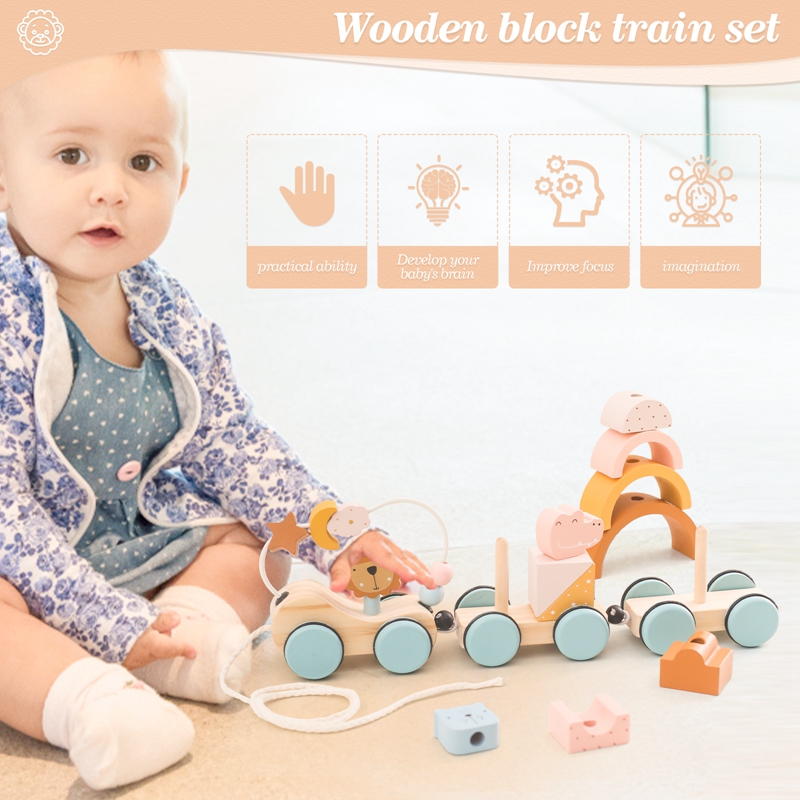 Holz Montessori Spielzeug Tier – Kids Toys 2 Year Old Bewertung und Preis